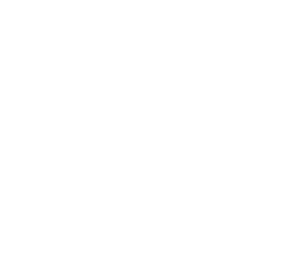 LifeValet Logo